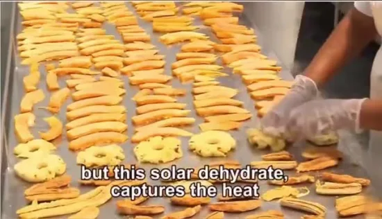 Made in China.  Serra per asciugatrice solare per frutta e verdura ad alta efficienza